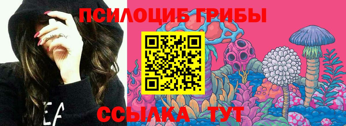 купить закладку  Вход с VPN  Ревда  Галлюциногенные грибы прущие грибы 