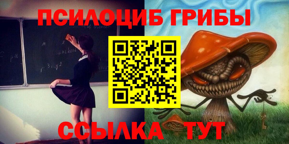 Псилоцибиновые грибы Cubensis Ревда